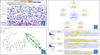 PLOS ONE 2025
